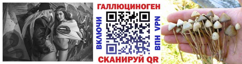 Псилоцибиновые грибы прущие грибы Кировград